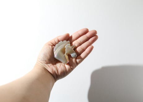 葉月ゆうによる技封入❣️【自分と対立する遺伝子プログラムの解放】エンジェルオーラ ドゥルジーアゲート ユニコーン