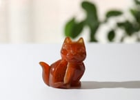 葉月ゆうによる技封入❣️【自分と対立する遺伝子プログラムの解放】ドゥルジーカーネリアン ねこ