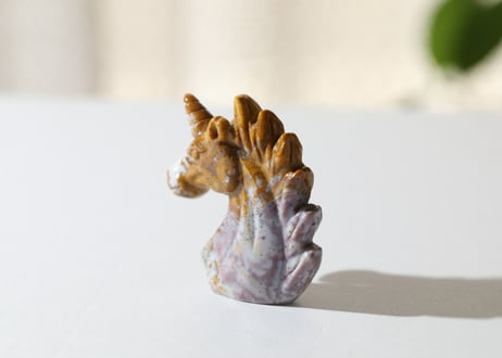葉月ゆうによる技封入❣️【自分と対立する遺伝子プログラムの解放】オーシャンジャスパー ユニコーン
