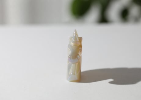 葉月ゆうによる技封入❣️【自分と対立する遺伝子プログラムの解放】エンジェルオーラ ドゥルジーアゲート ユニコーン