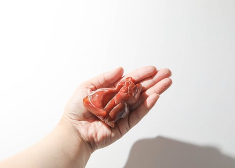 【悟った至福のシッディ】＆〈タイムウェーバーによるカルマを解放し、良い人生の流れに乗る調整入り〉オリジナルカード付き❣️ ドゥルジーカーネリアン ねこ