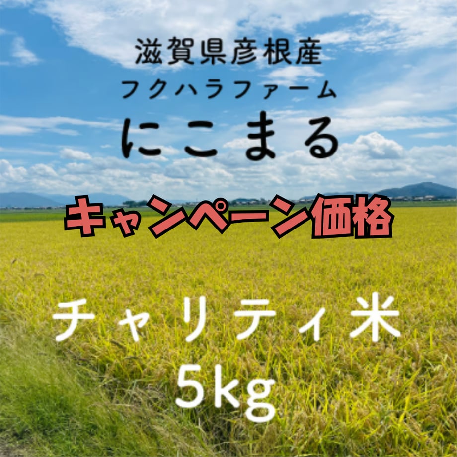 690047ebb7ac335188e7353d
