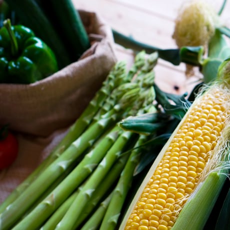 楽園倶楽部のおすすめ旬野菜セット【夏のセット】