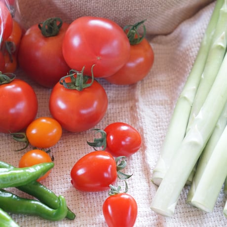 楽園倶楽部のおすすめ旬野菜セット【夏のセット】