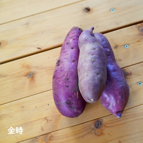ホクホク!ねっとり甘い!! 3種のサツマイモセット【10日以内に発送】