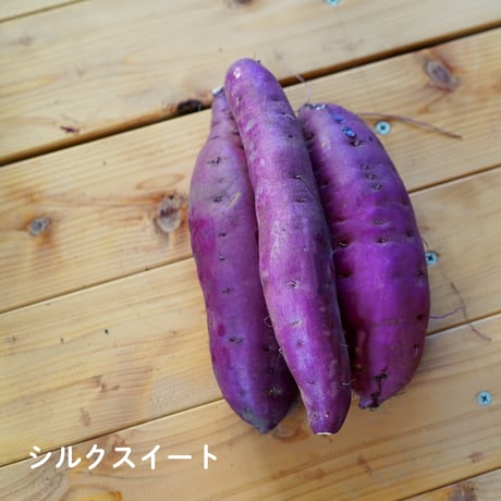 ホクホク!ねっとり甘い!! 3種のサツマイモセット【10日以内に発送】