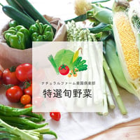 楽園倶楽部のおすすめ旬野菜セット【夏のセット】