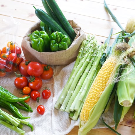 楽園倶楽部のおすすめ旬野菜セット【夏のセット】