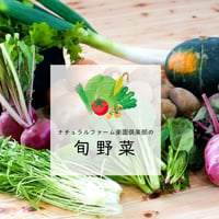 楽園倶楽部のおすすめ旬野菜セット【秋のセット】