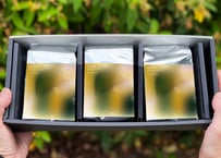 ［9月の珈琲］白露 -hakuro-＜豆のBOX：200g×3＞