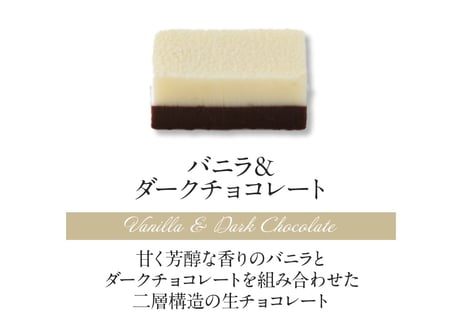【2層生チョコ】ハーモニアス10個入