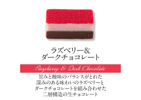 【2層生チョコ】ハーモニアス10個入