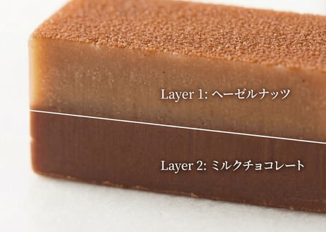 【2層生チョコ】ハーモニアス10個入