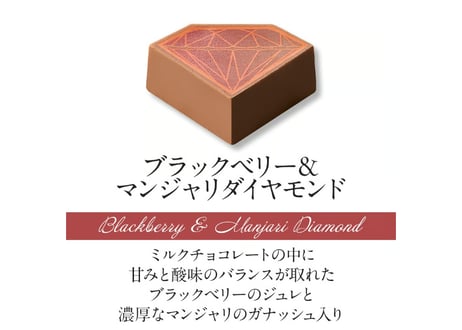 【2層生チョコ】ハーモニアス10個入