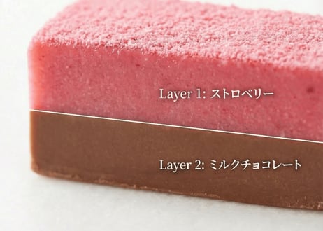 【2層生チョコ】ハーモニアス10個入