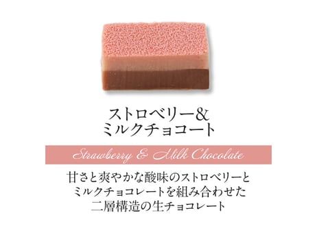 【2層生チョコ】ハーモニアス10個入