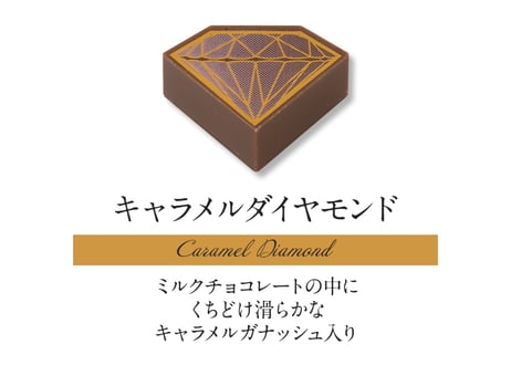 【2層生チョコ】ハーモニアス10個入