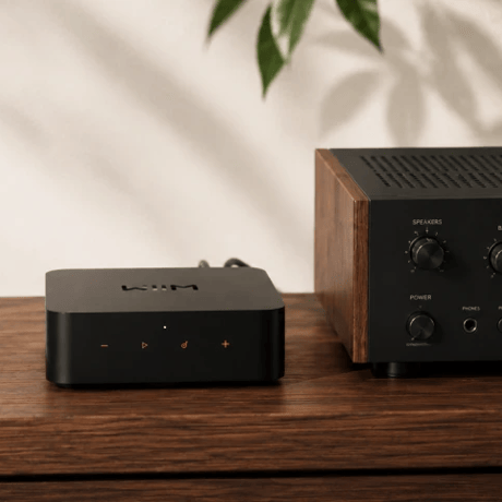 Wiim WiiM Pro Plus