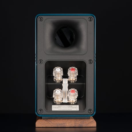ELAC ELEGANT 100