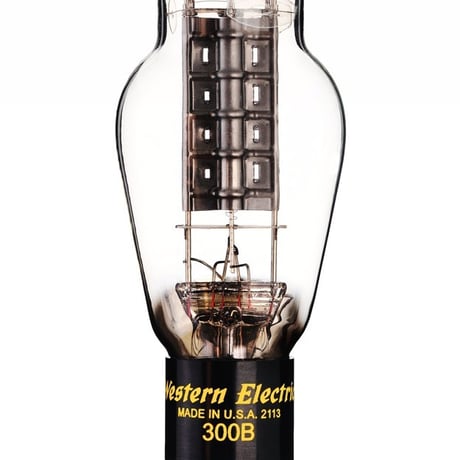 TRIODE TRX-P300S