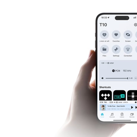 Eversolo Eversolo T10