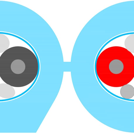 SUPRA DUAL 2RCA-2RCA