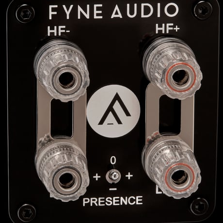FYNE AUDIO F501S