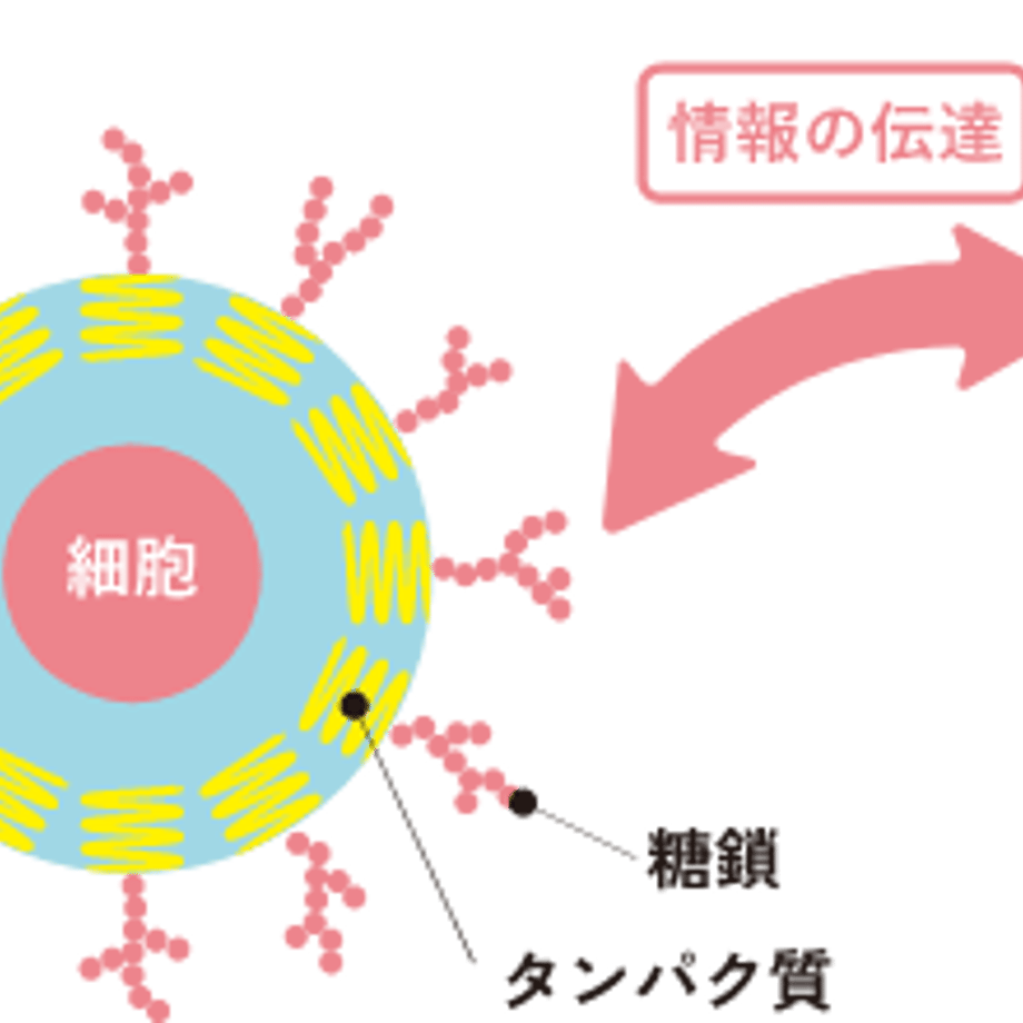 6a62fc99324c361494f7b37c