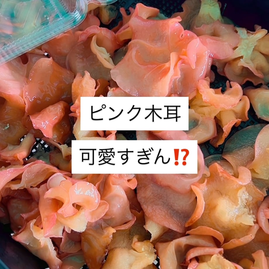 6a585aa6921a70561a13bfab