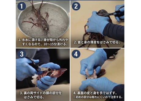 9/17 発送指定商品【期間限定】天然牛深直送！伊勢えび２尾