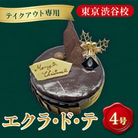 【テイクアウト専用】クリスマスケーキ「エクラ・ド・テ」(4号)【山手調理製菓専門学校】
