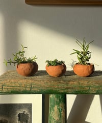 Mediocalcar decoratum× Earthenware pot