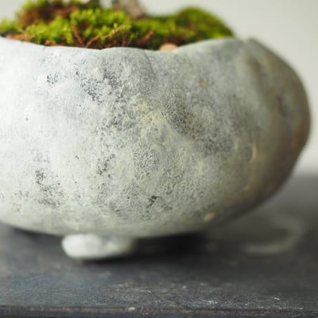 黄梅(オウバイ)  サイズ：Ｗ16cm×Ｈ15cm