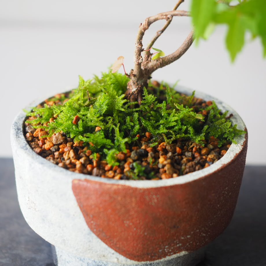 6ab8731a0af7a51d54c42b43