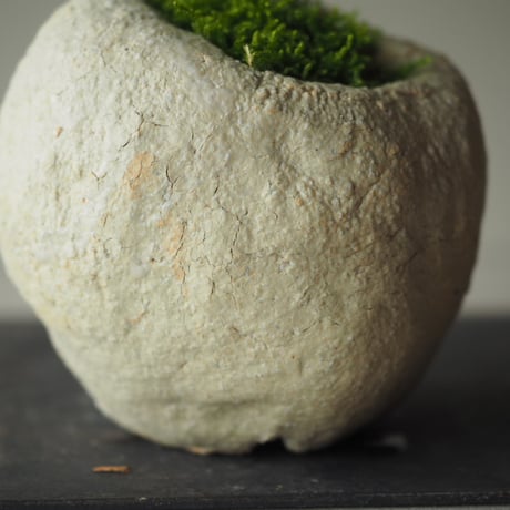 姫柘榴（ヒメザクロ)　サイズ：Ｗ17cm×Ｈ23cm