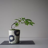 瑠璃瓢箪（ルリビョウタン)　サイズ：Ｗ22cm×Ｈ23cm