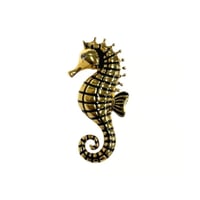プチブローチ(タツノオトシゴ)