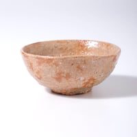 武末日臣 井戸徳利 | LYAN ARTS' Collection online shop