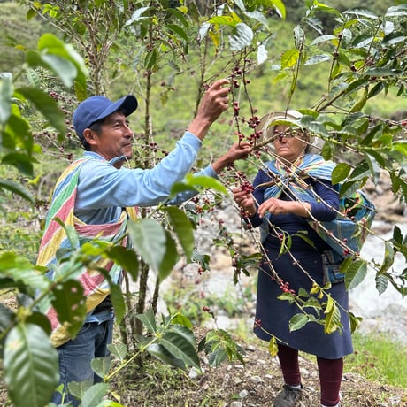 PERU EULOGIO CHIPAO Ama Qunqawankichu ESPRESSO ROAST 200g