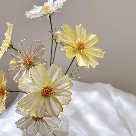 𝗖𝗼𝘀𝗺𝗼𝘀🌼 𝗮𝗿𝗿𝗮𝗻𝗴𝗲𝗺𝗲𝗻𝘁