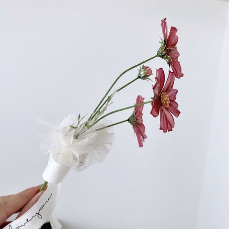 𝗖𝗼𝘀𝗺𝗼𝘀🌼 .. 𝐸𝑡𝑒𝑟𝑛𝑎𝑙 𝐹𝑙𝑜𝑤𝑒𝑟..