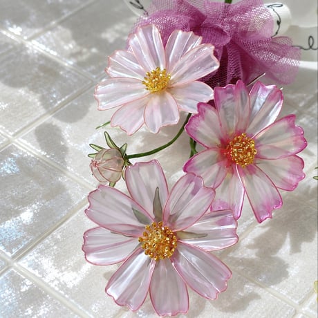 𝗖𝗼𝘀𝗺𝗼𝘀🌼 .. 𝐸𝑡𝑒𝑟𝑛𝑎𝑙 𝐹𝑙𝑜𝑤𝑒𝑟..