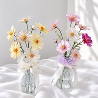 𝗖𝗼𝘀𝗺𝗼𝘀🌼 𝗮𝗿𝗿𝗮𝗻𝗴𝗲𝗺𝗲𝗻𝘁