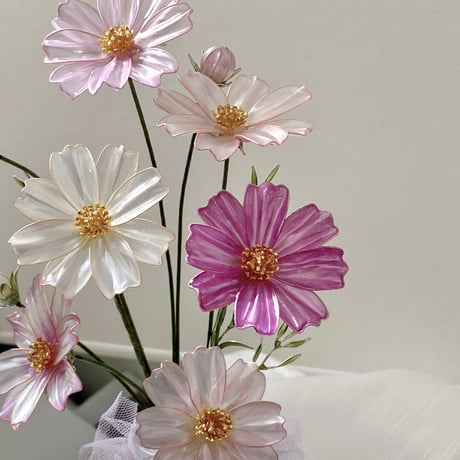 𝗖𝗼𝘀𝗺𝗼𝘀🌼 𝗮𝗿𝗿𝗮𝗻𝗴𝗲𝗺𝗲𝗻𝘁