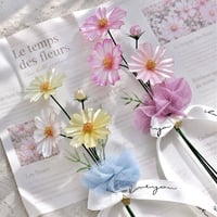 𝗖𝗼𝘀𝗺𝗼𝘀🌼 .. 𝐸𝑡𝑒𝑟𝑛𝑎𝑙 𝐹𝑙𝑜𝑤𝑒𝑟..