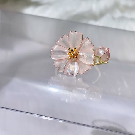 𝗖𝗼𝘀𝗺𝗼𝘀 𝗿𝗶𝗻𝗴 🌼𝟮𝟬𝟮𝟲