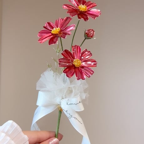 𝗖𝗼𝘀𝗺𝗼𝘀🌼 .. 𝐸𝑡𝑒𝑟𝑛𝑎𝑙 𝐹𝑙𝑜𝑤𝑒𝑟..