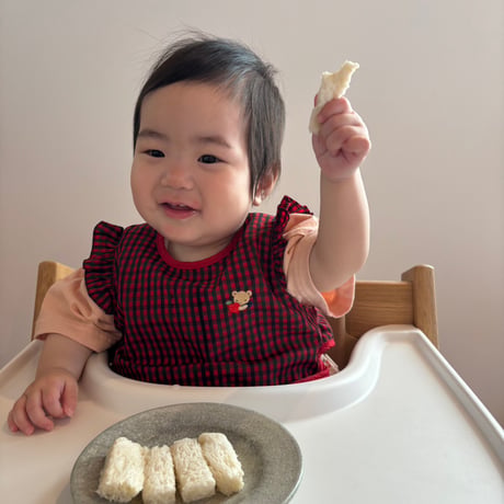 はじめての食パン１斤　　（※1枚ずつ個包装した状態で冷凍してあります）