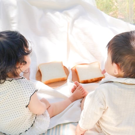定期購入　はじめての食パン2斤（※1枚ずつ個包装した状態で冷凍してあります）