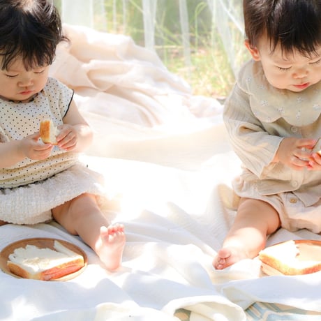はじめての食パン２斤　　（※1枚ずつ個包装した状態で冷凍してあります）